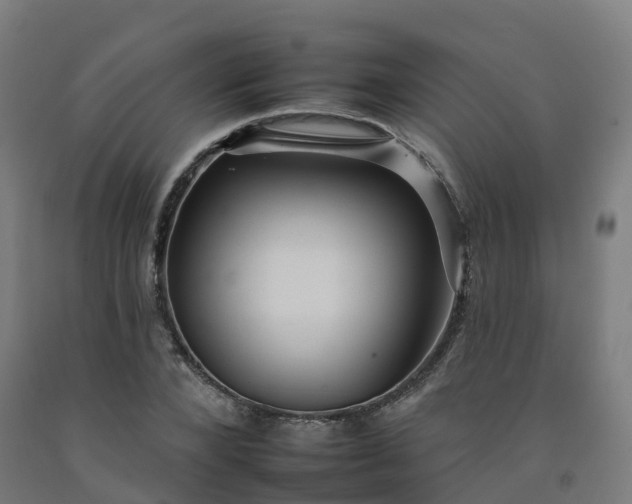 X0000092260880200709281202