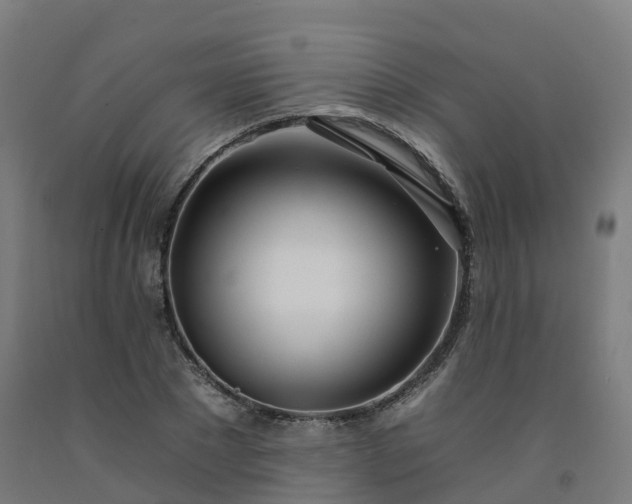 X0000092260881200709281202