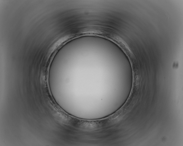 X0000092260882200709281202