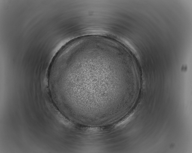 X0000092260883200709281202