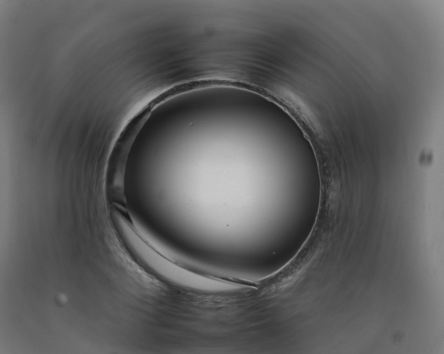 X0000092260884200709281202