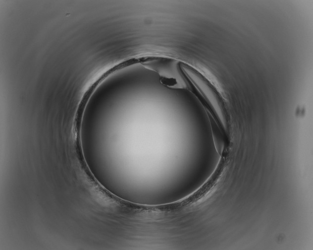 X0000092260885200709281202