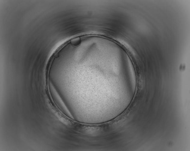 X0000092260886200709281202