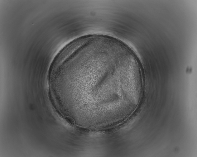 X0000092260887200709281202