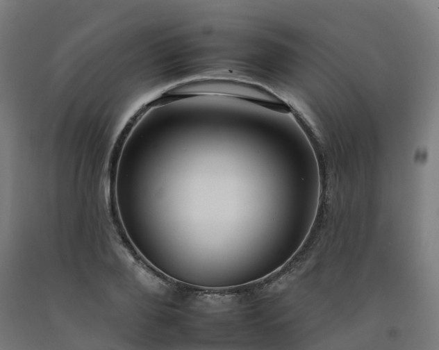 X0000092260888200709281202