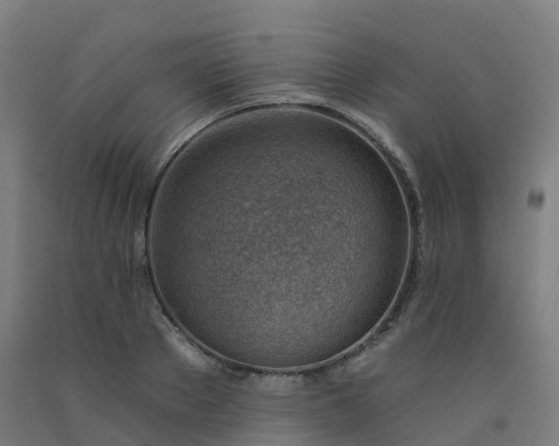 X0000092260889200709281202