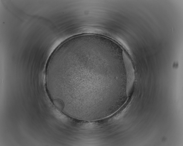 X0000092260891200709281202