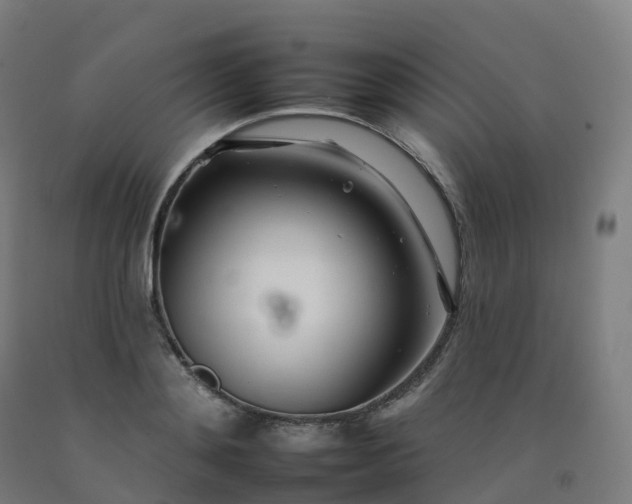 X0000092260892200709281202