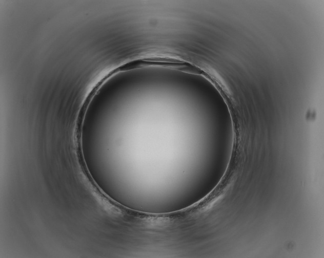 X0000092260893200709281202