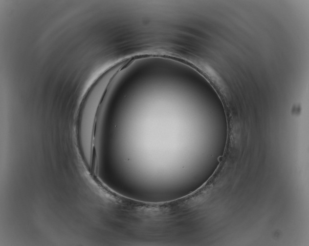 X0000092260896200709281202