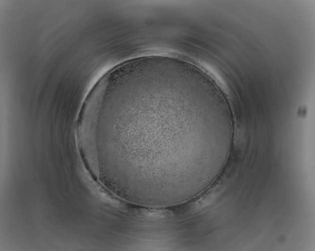 X0000092260899200709281202