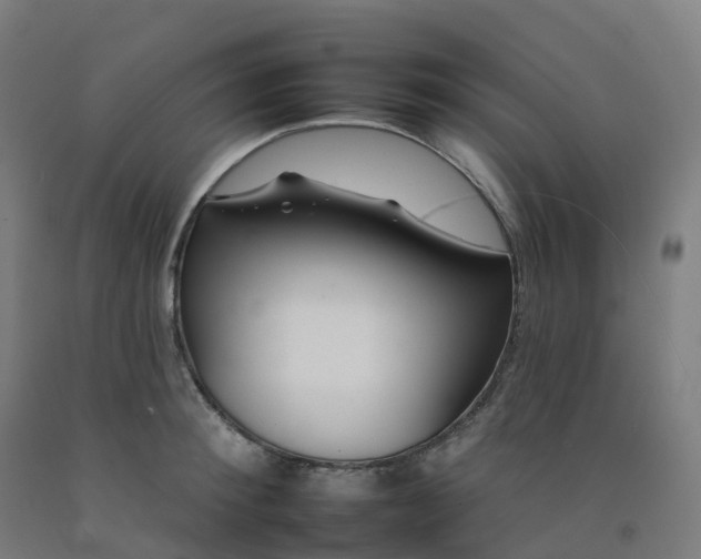 X0000092260900200709281202