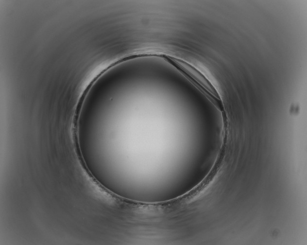 X0000092260901200709281202