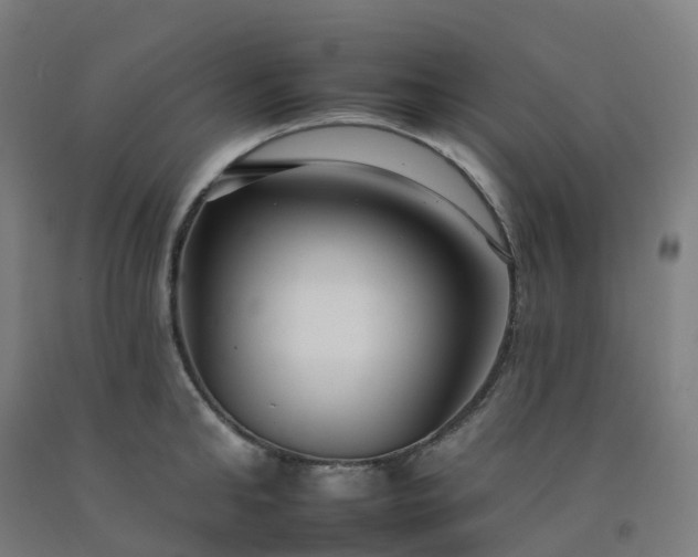 X0000092260902200709281202