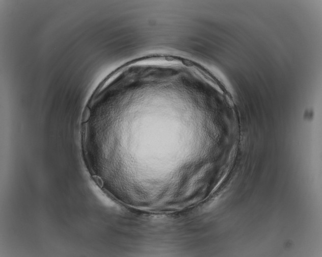 X0000092260903200709281202