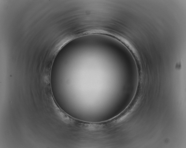 X0000092260905200709281201