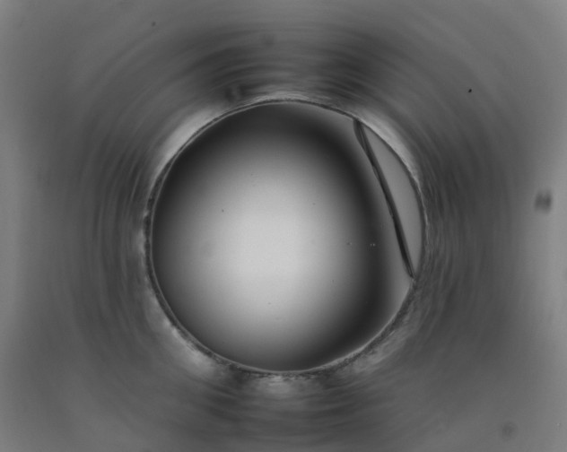 X0000092260906200709281201