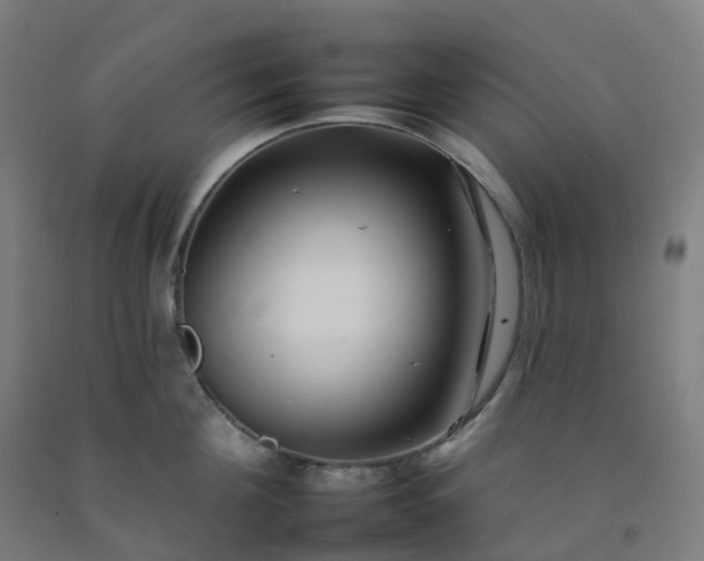 X0000092260908200709281201