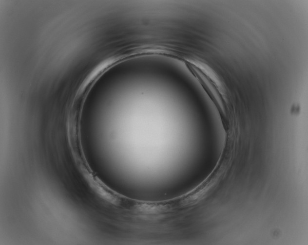 X0000092260910200709281201