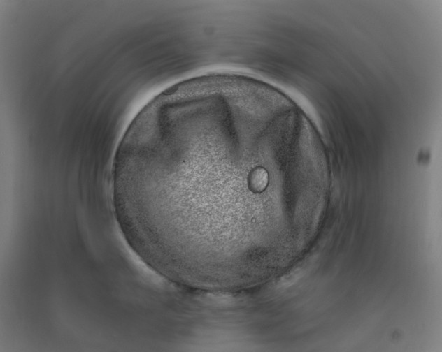 X0000092260911200709281201