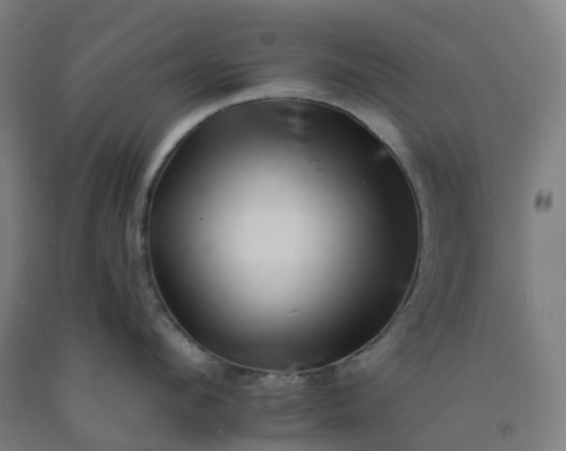 X0000092260912200709281201