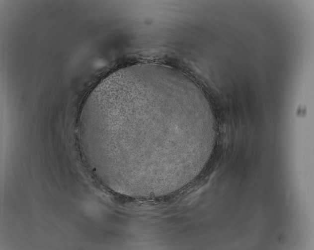 X0000092260913200709281201