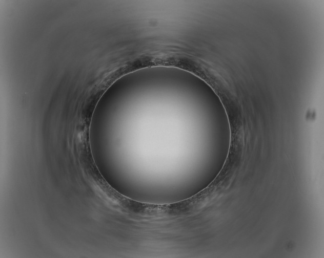 X0000092260914200709281201