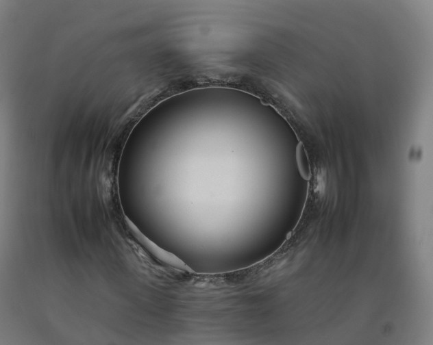 X0000092260915200709281201