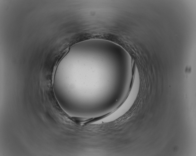 X0000092260916200709281201