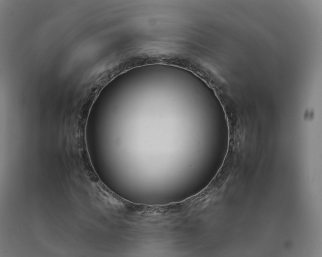 X0000092260917200709281201