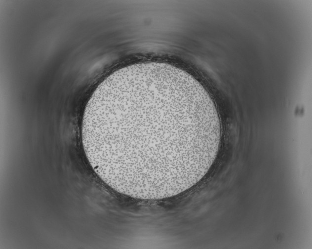 X0000092260918200709281201