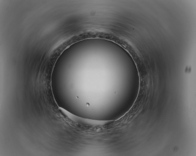 X0000092260919200709281201