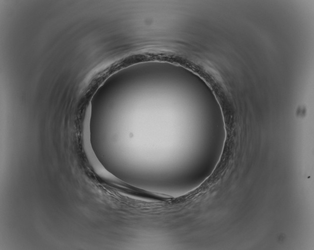 X0000092260920200709281201