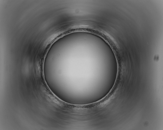 X0000092260921200709281201