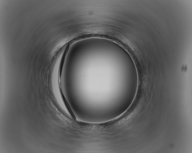 X0000092260922200709281201