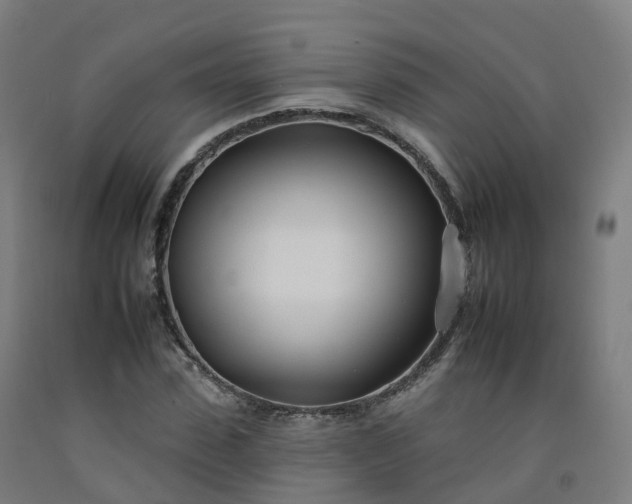 X0000092260923200709281201