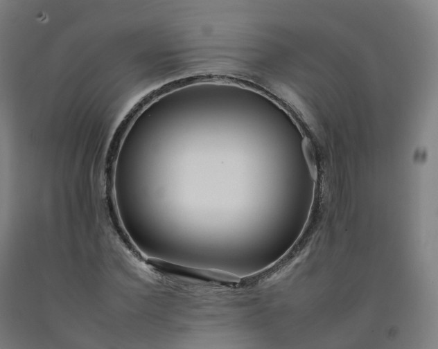 X0000092260924200709281201