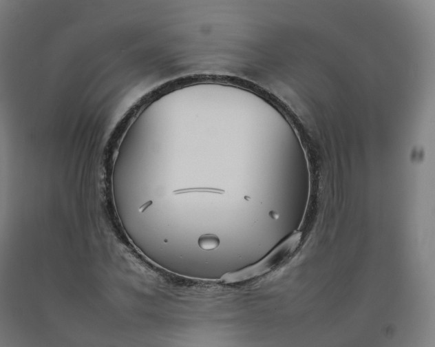 X0000092260926200709281201