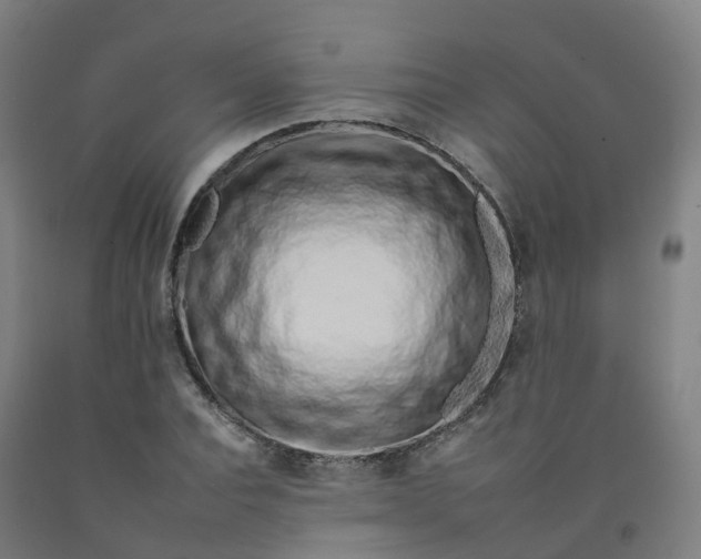 X0000092260928200709281201