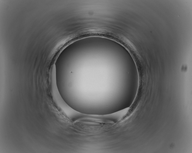 X0000092260930200709281201