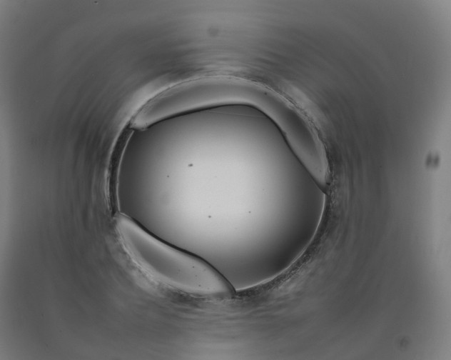 X0000092260932200709281201