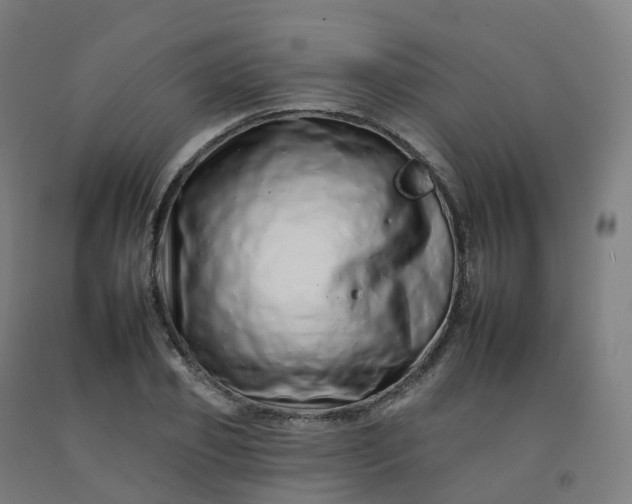 X0000092260933200709281201