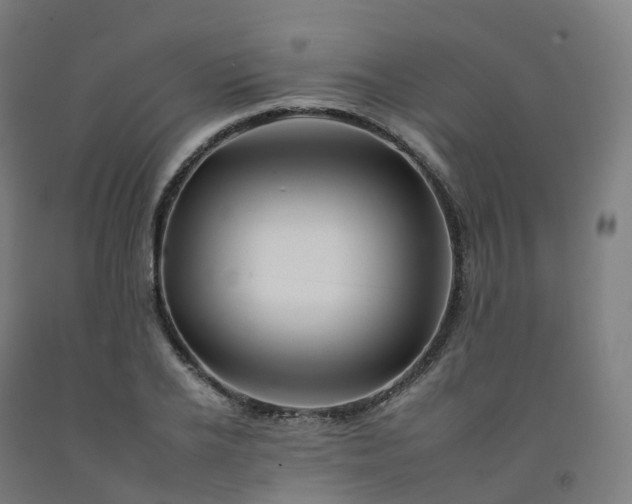 X0000092260934200709281201