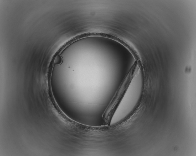 X0000092260935200709281201