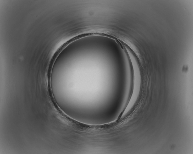 X0000092260936200709281201