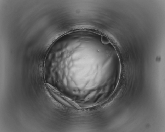 X0000092260937200709281201