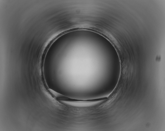 X0000092260939200709281201