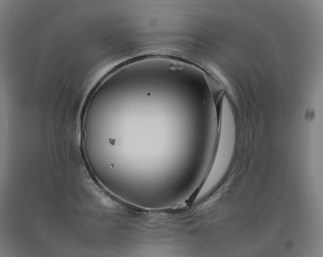 X0000092260940200709281201