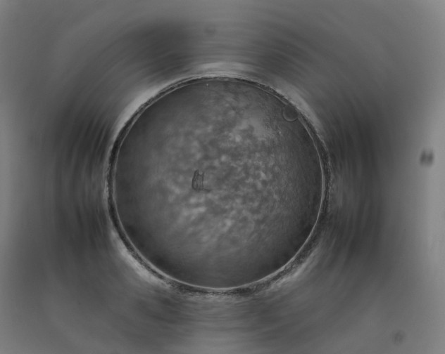 X0000092260941200709281201