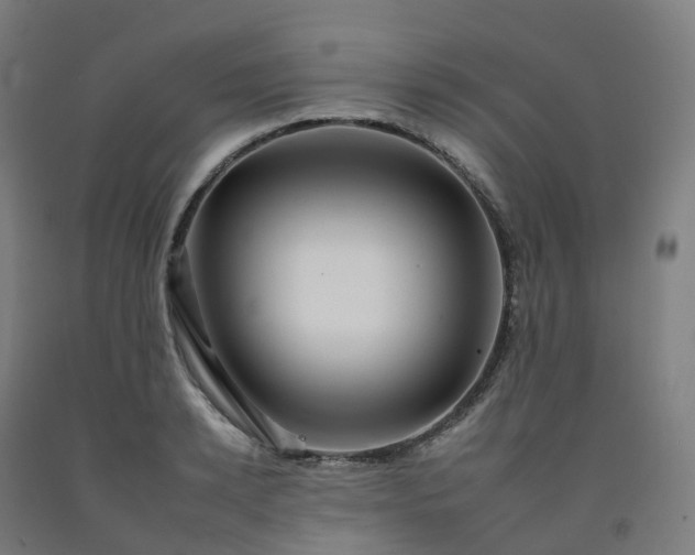 X0000092260942200709281201